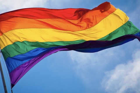 LGBTQIA Flag